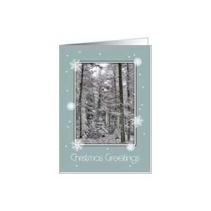  Christmas Greetings   Snowy Trees Card Health & Personal 