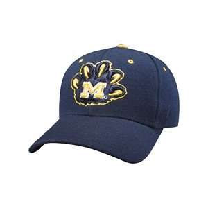    Zephyr Michigan Wolverines Dhs Fitted Hat 6 3/4
