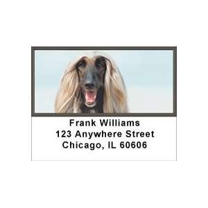  Afghan Hound Address Labels