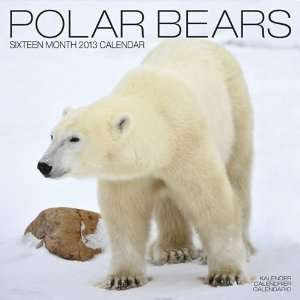  Polar Bears 2013 Wall Calendar 12 X 12