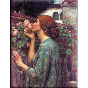   Rose 12x16 Streched Canvas Art by Waterhouse, John William Home