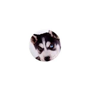 Siberian Husky Puppy Dog 16 1in Mini Magnet Q0630 