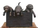 Cast Bronze Puppies in a Box  
