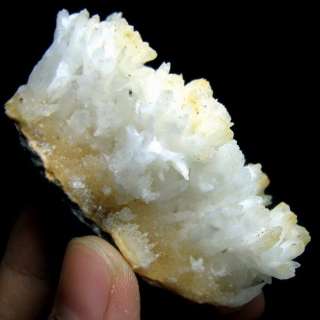 Radiating Calcite Crystal Specimen dz636  