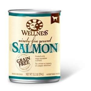  Wellpet OM89404 12 13.2 Oz Wellness Ninety Five Salmon 