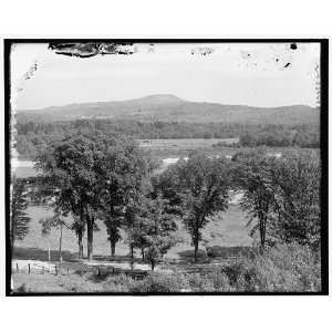    Mount Prospect from Intervale,New Hampshire