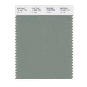   PANTONE SMART 16 5807X Color Swatch Card, Lily Pad