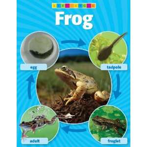  Scholastic TF2453 Frog Life Cycle Photo Chart Teachers 