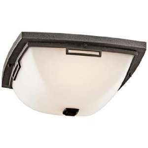 Leeds Collection 14 Wide Outdoor Ceiling Light