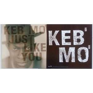  Keb Mo Just Like You Poster Flat 