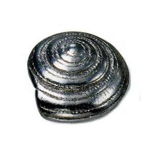  Laury 56560 Oceana Swirl Knob, Silverado