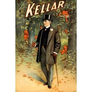  Kellar   The Forest of Imps 12x18 Giclee on canvas