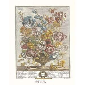 Twelve Months of Flowers, 1730/April by Robert Furber 17x22  