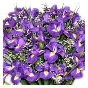  20 Fresh Iris Fresh Flower Bouquet