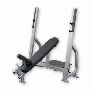   Price/EA)MAGNUM FITNESS SYSTE Elite Incline Bench