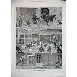   1886 Dogs Home Battersea Horse Coach Animals Men Art
