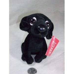  Russ Pound Pets   black dog with large eyes Toys & Games