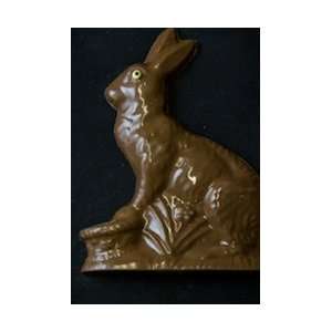 Chocolate Easter Bunny  Grocery & Gourmet Food