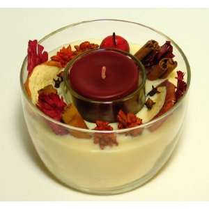    Aspen Bay Candles Accent Dome   Apples N Spice