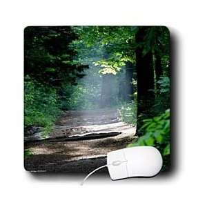   Forest   Forest Sunrise Dead Chief Trail   Mouse Pads Electronics