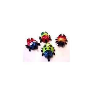  Never Fall Beetle Quantity of 1 Toys & Games