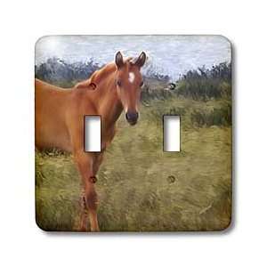 Doreen Erhardt Horses   Stallion   Light Switch Covers   double toggle 