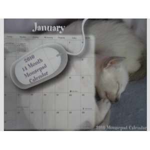  Cats Kittens 2010 14 Month Mousepad Calendar Office 