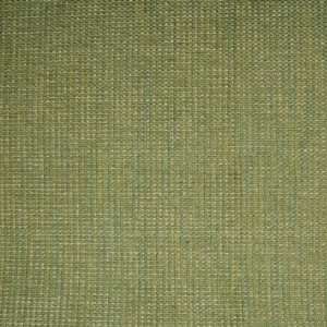  A2640 Green by Greenhouse Design Fabric