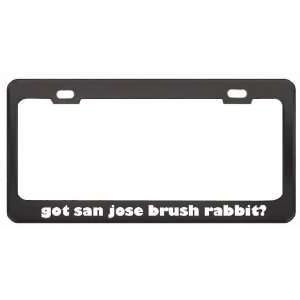 Got San Jose Brush Rabbit? Animals Pets Black Metal License Plate 