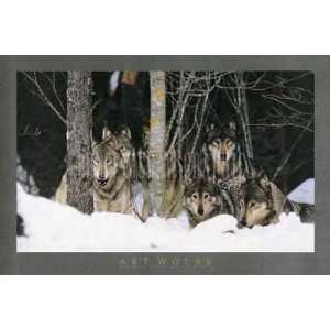  Wolf Pack, Boreal Forest, Canada    Print