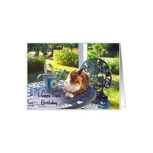  Happy 24th Birthday, calico cat on porch, garden view Card 