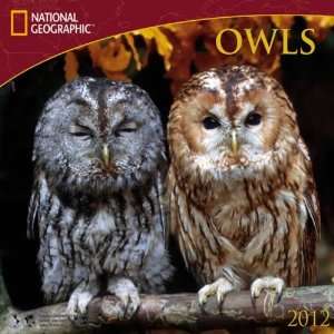  Owls   National Geographic 2012 Wall Calendar Books