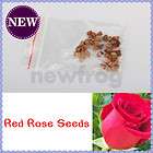 20 x china red rose seeds beautiful $ 0 99 see suggestions