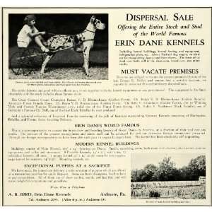  1931 Ad A. R. Bird Erin Great Dane Kennel Large Champion 
