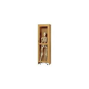 Wood Skeleton Display Cabinet 