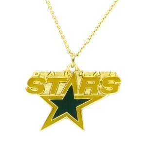  Dallas Stars   NHL Logo Pendant Necklace Sports 