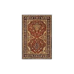  Agra Oriental rug
