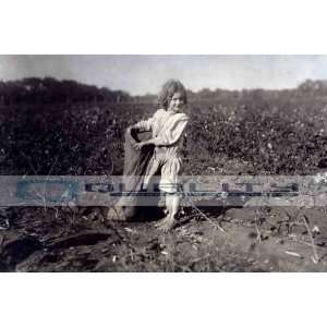  1913 LITTLE GIRL COTTON PICKER BELLS TEXAS [8 x 12 