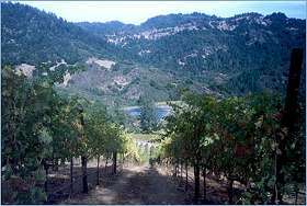 Hidden Ridge Winery 