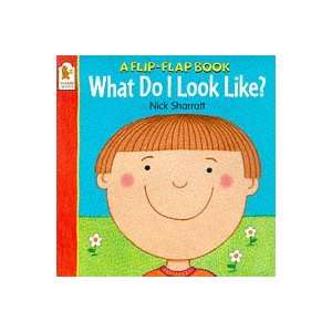  What Do I Look Like? (Flip the Flap Books) (9780744563115 