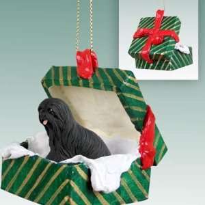    Lhasa Apso Green Gift Box Dog Ornament   Black
