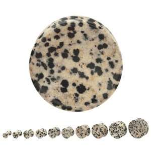  Spotted Dalmation Jasper Plugs   2G   Sold As A Pair 