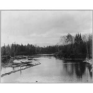  Above Dead River Dam,Maine,ME,view of river,trees,c1897 