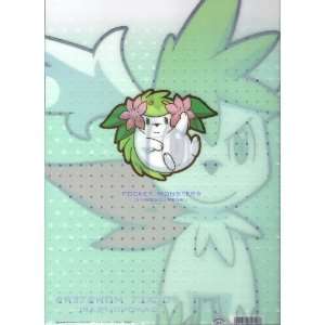  Pokemon DP Diamond & Pearl Pocket Monsters ~12x9 Clear 