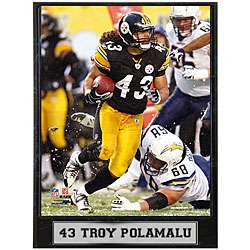 Pittsburg Steelers Troy Polamalu 9x12 Photo Plaque  