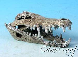 Crocodile Skull Resin Aquarium Decoration/Ornament Sm  