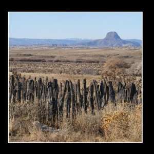  Beyond the Fences Lloyd Moore Music