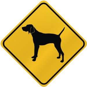  ONLY  TREEING WALKER COONHOUND  CROSSING SIGN DOG