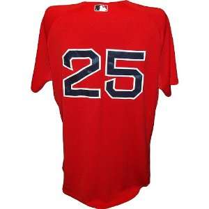 Mike Lowell #25 2009 Red Sox Game Used Red Alternate Cool Base Jersey 