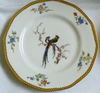 Theodore Haviland Limoges France Porcelain Eden Birds Dinner Plate $0 